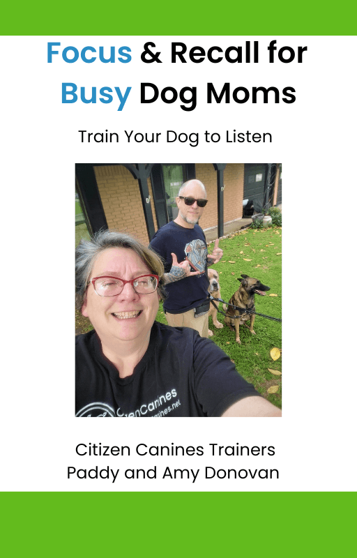 Focus & Recall for Busy Dog Moms